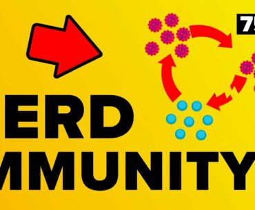 Coronavirus Herd Immunity - Explained