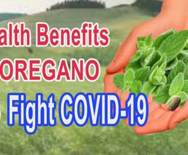 Health Benefits of Oregano to Fight Covid 19
