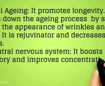 Amla Emblica Officinalis Herbal Extract for Immunity, Digestion,Revitalizer, Vitamin C, Diabetes