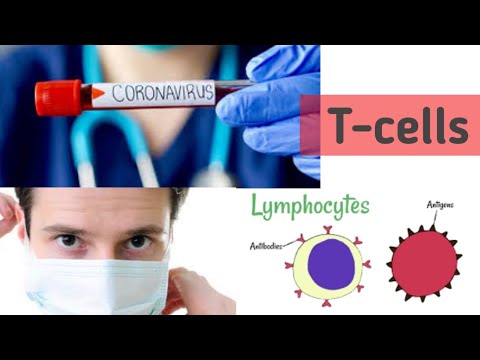 Covid-19 update || Covid-19 immunity cells ||Antibodies Lymphocytes