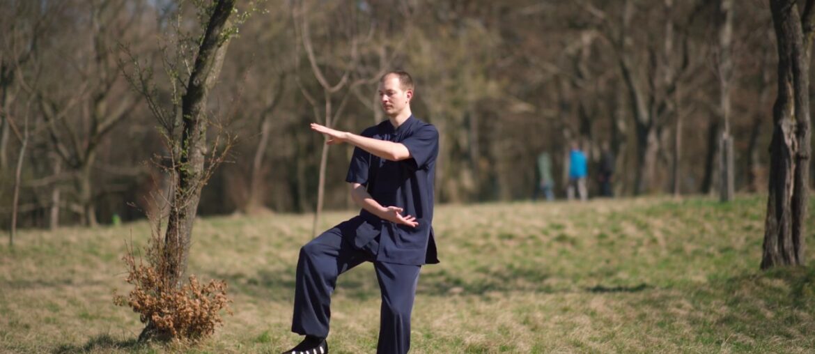 Dragon Qi Gong for your Immune System - Best Form Against Corona Virus!