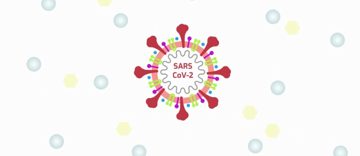 Covid19: How to coat SARS-CoV-2 and create immunity
