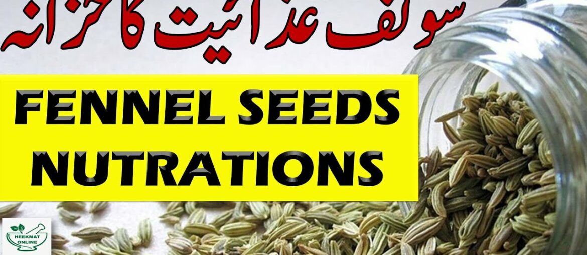 How Much Nutrition In Fennel Seeds In Hindi Urdu | Does Fennel Seeds Water For Weight Loss In Urdu