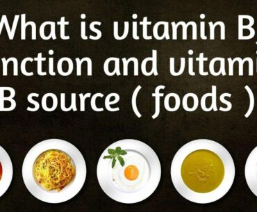 What is Vitamin B ,function, and  vitamin B sources ( foods )