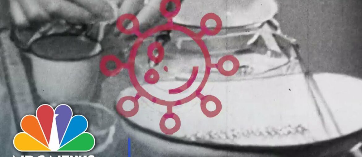 Inside The Process Of Creating The COVID-19 Vaccine | NBC News NOW