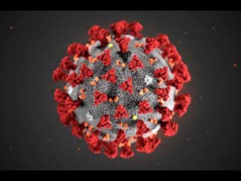 Should we exercise or not? Effects of Covid-19 on Muscles, Bones and Immune System