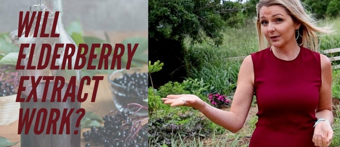 Will Black Elderberry PREVENT or TREAT upper respiratory tract infections?