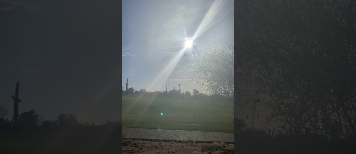 Sunlight, Immunity, and Mitochondria