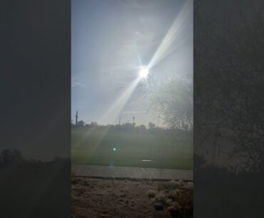 Sunlight, Immunity, and Mitochondria