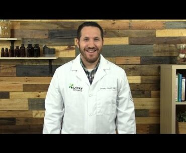 What is Kava Kava? | Ask the ND with Dr. Jeremy Wolf
