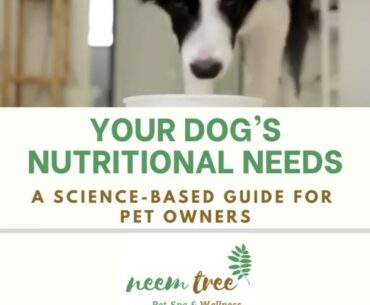 YOUR DOG’S NUTRITIONAL NEEDS