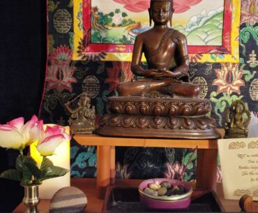 Breath Meditation for Stress Reduction and Immune System Response to Coronavirus (Bodhi2500)