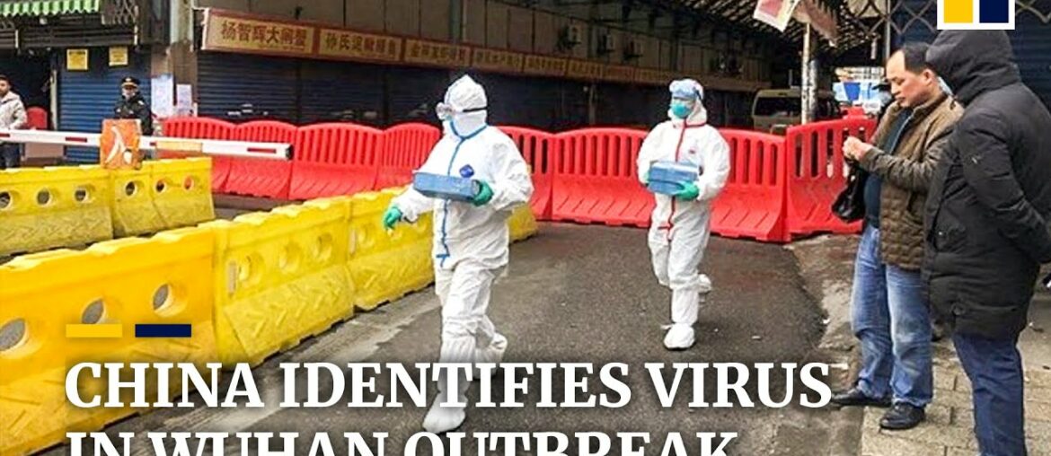 China identifies new coronavirus behind Wuhan pneumonia outbreak