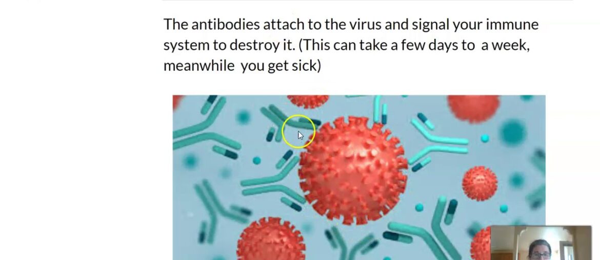 COVID-19 Vaccines and Immunity Presentation