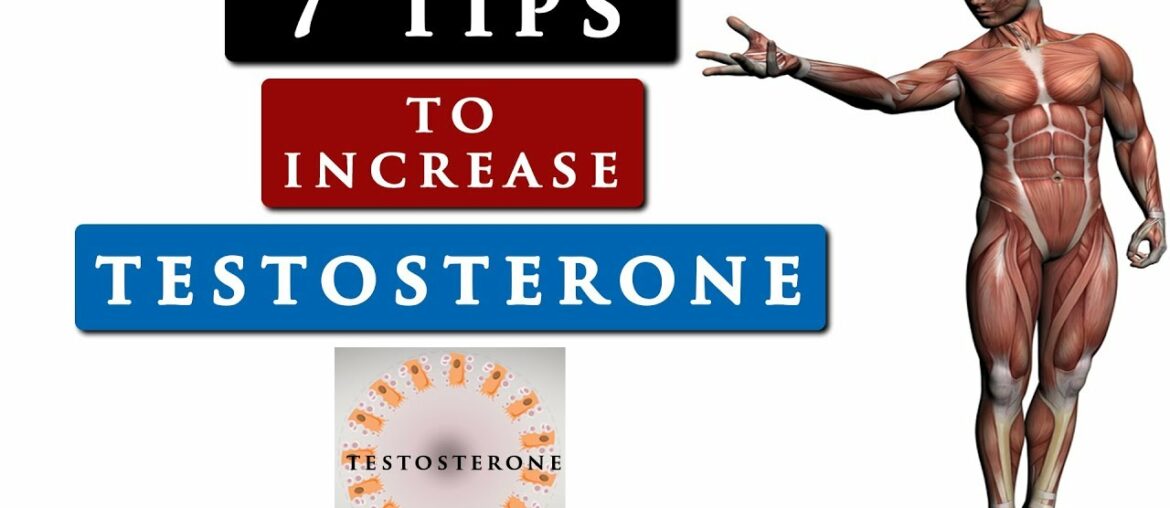 How to INCREASE your TESTOSTERONE level naturally