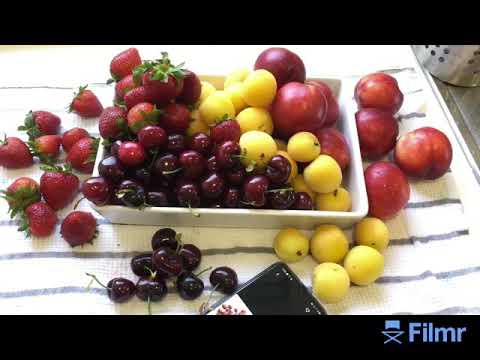 #Fruits Rich of Vitamins#Good for Immune System!!