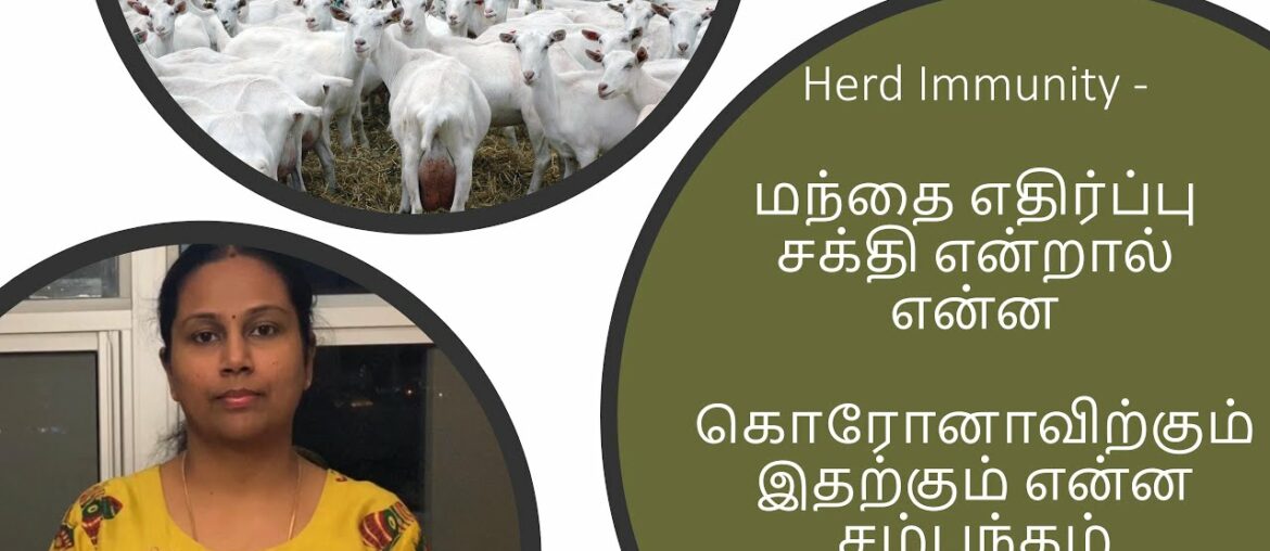Herd immunity Tamil | Will it work for Corona  Virus?