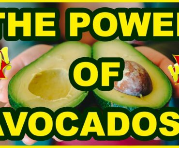 Avocado Benefits & Nutrition Facts Checked By Doctor Joe Brown