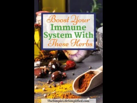 5 EASY HOME REMEDIES TO BOOST YOUR IMMUNE SYSTEM NATURALLY.. SILICO AHAAR