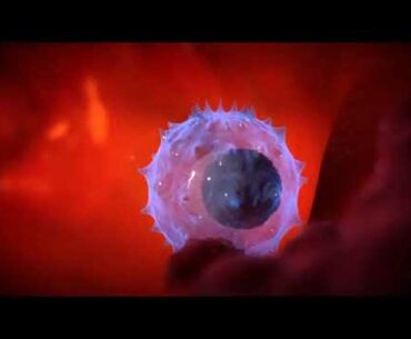 WATCH LIVE: HOW DO VACCINE WORK on immune system ? || COVID 19 Vaccination || What is vaccine