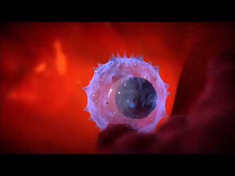 WATCH LIVE: HOW DO VACCINE WORK on immune system ? || COVID 19 Vaccination || What is vaccine