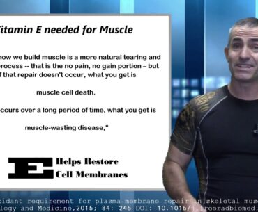 Vitamin E for Muscle Growth | Muscle Gain