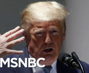 Trump's Claim Of A Coronavirus Vaccine By January Is 'Preposterous' | The 11th Hour | MSNBC