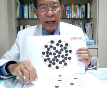 COVID 19 Indonesia - Herd Immunity INDO