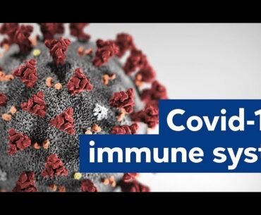 Can I Boost my Immunity Against COVID-19? How to Boost Immunity Naturally in Telugu | Immunology