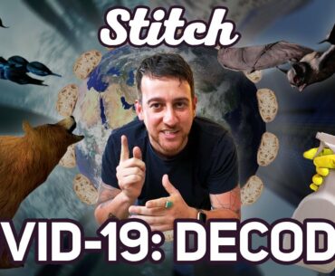 Coronavirus: What We Know, What We Don't, And Everything In Between | Stitch