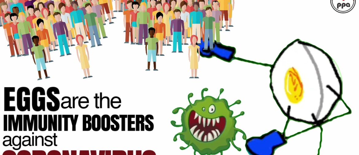 EGGS are the IMMUNITY BOOSTERS against the CORONAVIRUS COVID 19