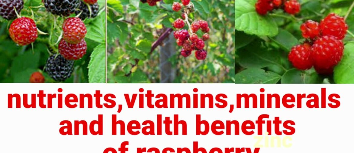 nutrients,vitamins, minerals and health benefits of raspberry