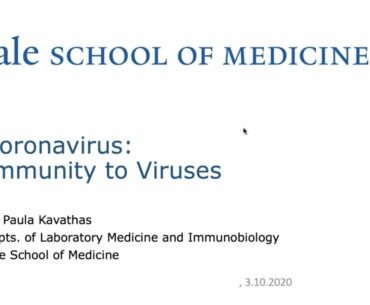 Coronavirus: Immunity to Viruses