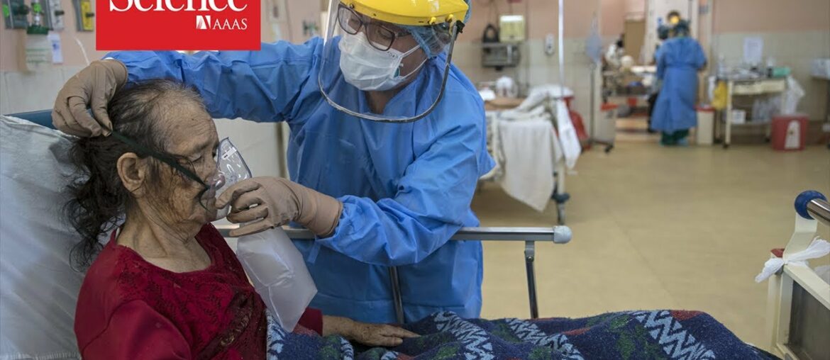 The coronavirus’ rampage through the body