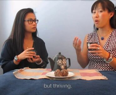 TCM Tea Talk - Energy Levels, Vitamin D, and Immune System