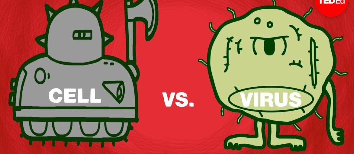 Cell vs. virus: A battle for health - Shannon Stiles