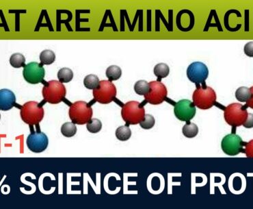 What Is Amino Acid | Science Of Amino Acid | What Is Use Of Amino Acid In Bodybuilding PART-1 HINDI