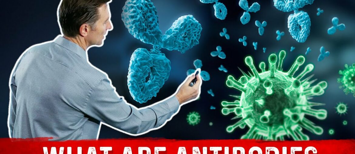 How Immunity is Created: Antibodies