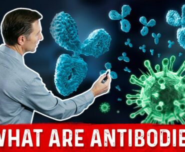 How Immunity is Created: Antibodies