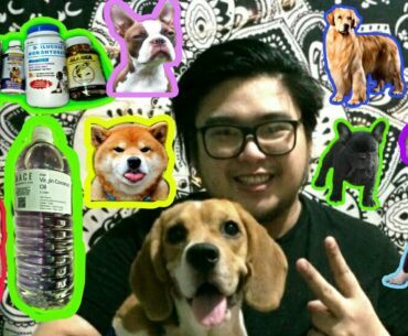 VITAMINS and FOOD SUPPLEMENTS FOR YOUR DOGS