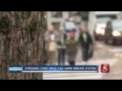 Anxiety over COVID-19 can weaken your immune system.