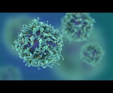 Sample A level Biology lesson on immunity: Coronavirus - Why is it so difficult to make a vaccine?