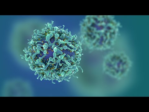 Sample A level Biology lesson on immunity: Coronavirus - Why is it so difficult to make a vaccine?