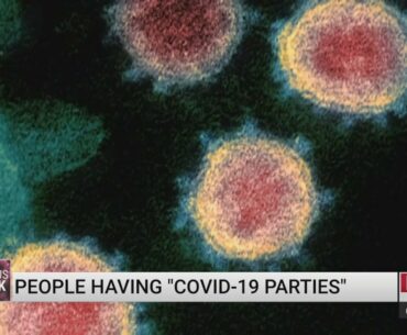 People are having 'COVID-19 parties' to build up immunity. Experts say they are putting lives at ris