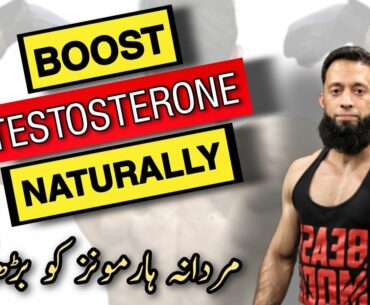 How to Increase Testosterone | Naturally Increasing Testosterone | Urdu/Hindi