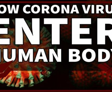 How Corona Virus  Invades Human Body - Corona Attack Ways