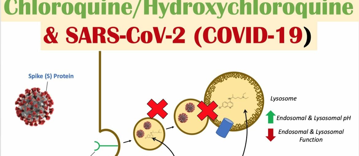 Chloroquine, Hydroxychloroquine & SARS-CoV-2 (COVID-19): Mechanism & Overview of Anti-Viral Effects