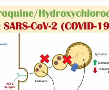 Chloroquine, Hydroxychloroquine & SARS-CoV-2 (COVID-19): Mechanism & Overview of Anti-Viral Effects