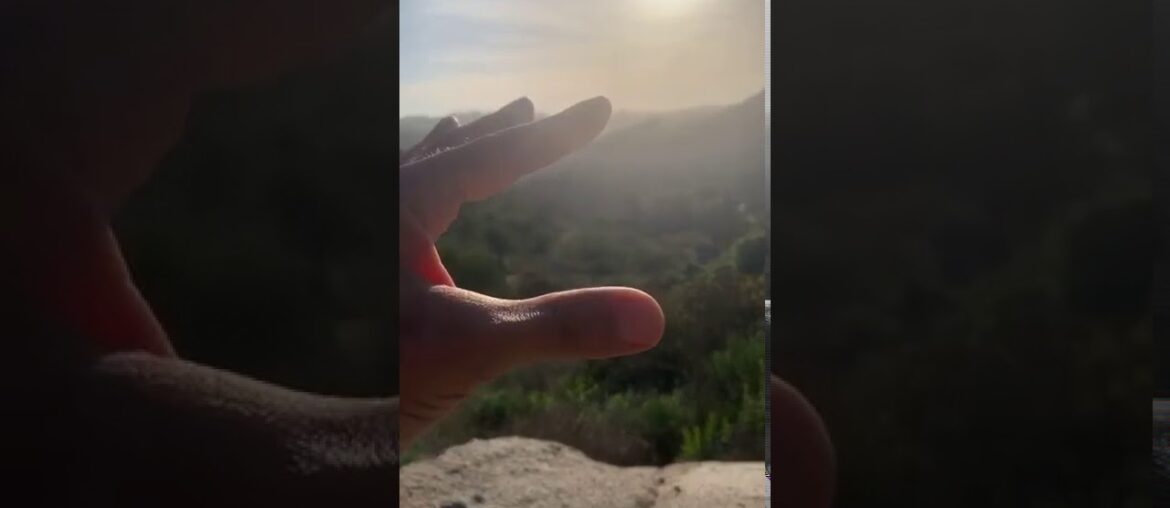 Cymbiotika Synergy D3 K2 COQ10 Immunity Shield