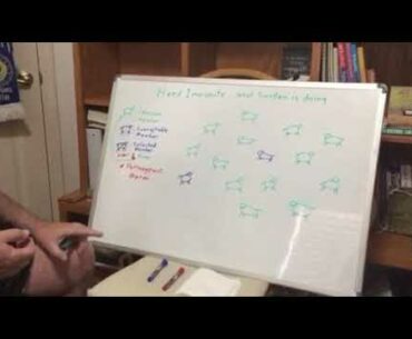 Herd immunity and Sweden with Covid19